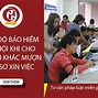 Có Nên Đóng Bảo Hiểm Khi Đi Làm