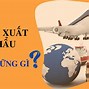 Làm Co Xuất Khẩu